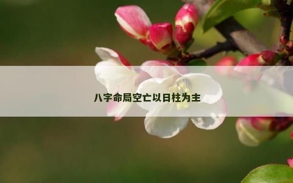 八字命局空亡以日柱為主