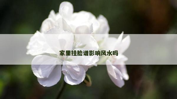 家里掛臉譜影響風(fēng)水嗎