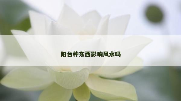陽(yáng)臺(tái)種東西影響風(fēng)水嗎
