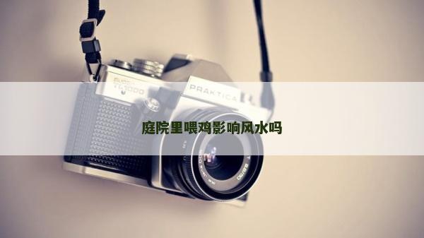 庭院里喂雞影響風水嗎
