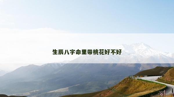 生辰八字命里帶桃花好不好
