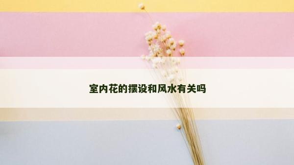 室內花的擺設和風水有關嗎