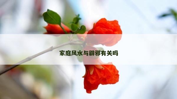 家庭風水與辟邪有關嗎