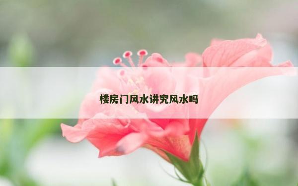 樓房門風水講究風水嗎