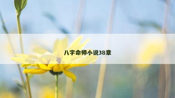 八字命師小說38章
