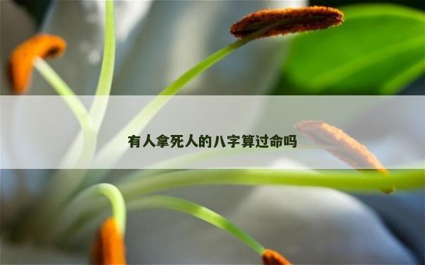 有人拿死人的八字算過命嗎