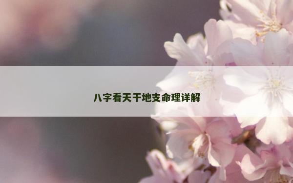 八字看天干地支命理詳解