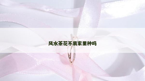 風水茶花不易家里種嗎