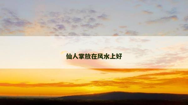 仙人掌放在風水上好