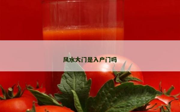 風水大門是入戶門嗎