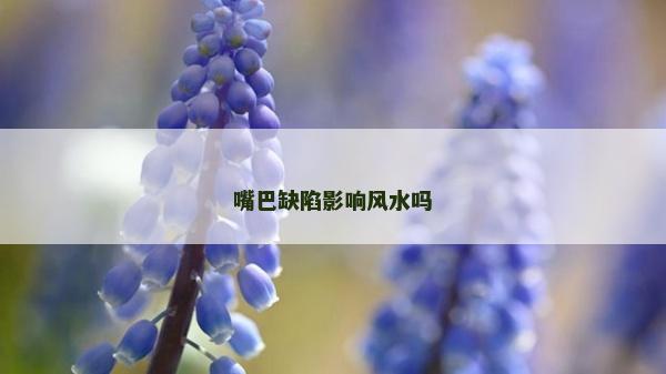 嘴巴缺陷影響風水嗎 嘴巴缺陷影響風水嗎