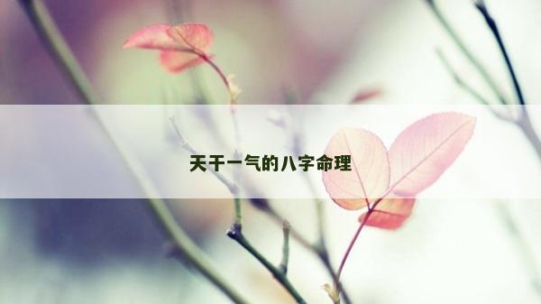 天干一氣的八字命理