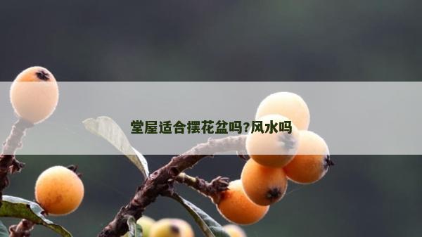 堂屋適合擺花盆嗎?風(fēng)水嗎