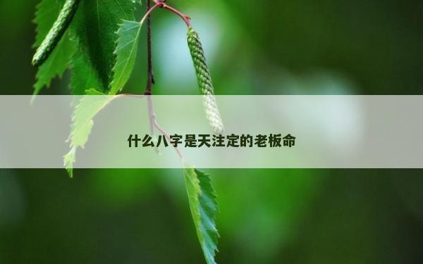什么八字是天注定的老板命 什么八字是天注定的老板命