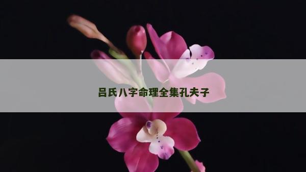 呂氏八字命理全集孔夫子