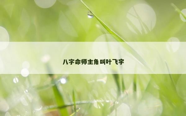 八字命師主角叫葉飛宇