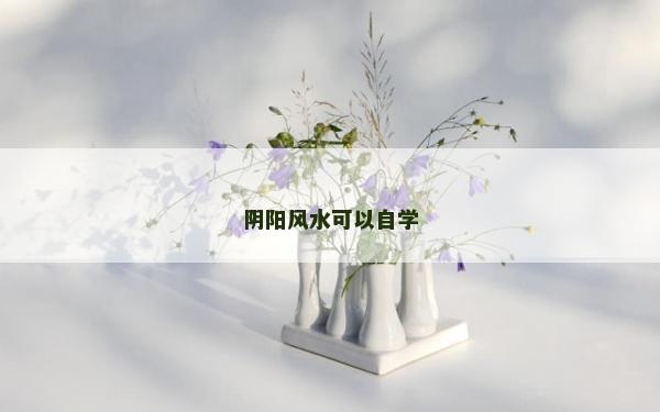 陰陽風水可以自學