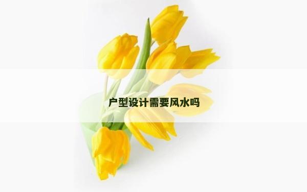 戶型設計需要風水嗎