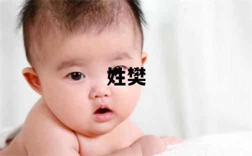 姓樊叫什么名字好 姓樊的男孩優美的名字