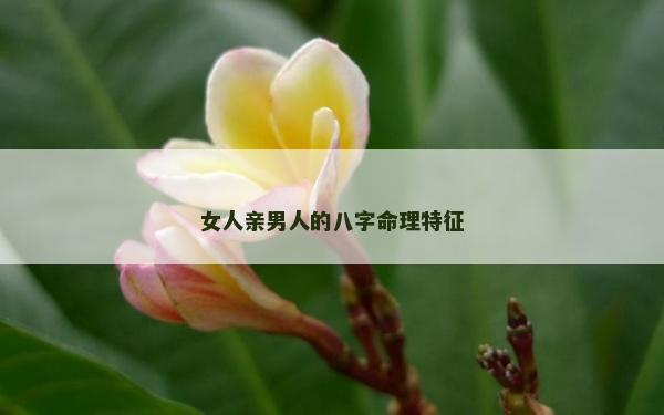 女人親男人的八字命理特征