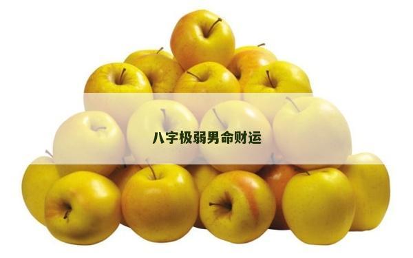 八字極弱男命財(cái)運(yùn)