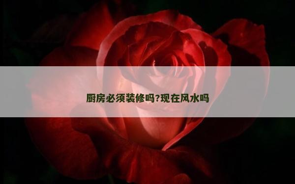 廚房必須裝修嗎?現在風水嗎 廚房必須裝修嗎?現在風水嗎