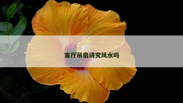 客廳吊扇講究風水嗎