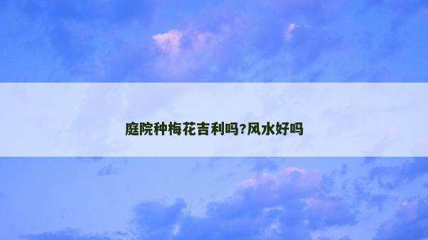 庭院種梅花吉利嗎?風水好嗎 庭院種梅花吉利嗎?風水好嗎