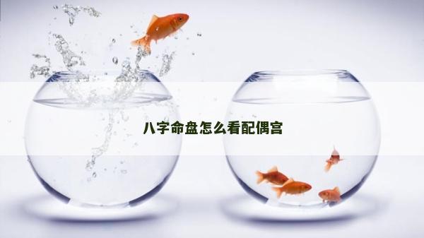 八字命盤怎么看配偶宮