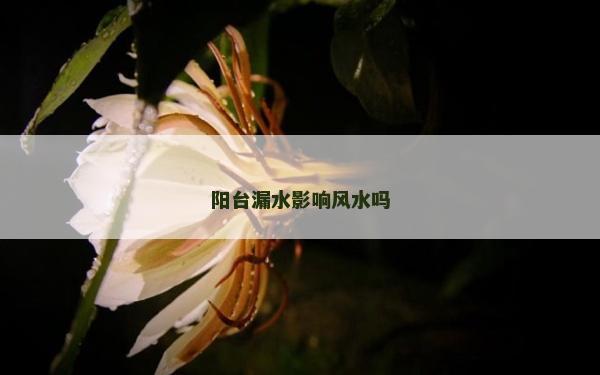 陽臺漏水影響風水嗎