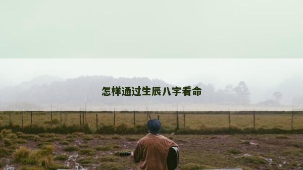 怎樣通過生辰八字看命