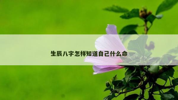 生辰八字怎樣知道自己什么命