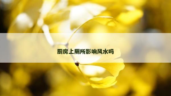 廚房上廁所影響風(fēng)水嗎