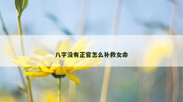 八字沒有正官怎么補救女命