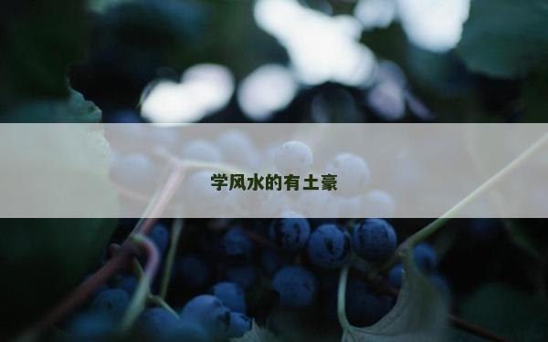學風水的有土豪