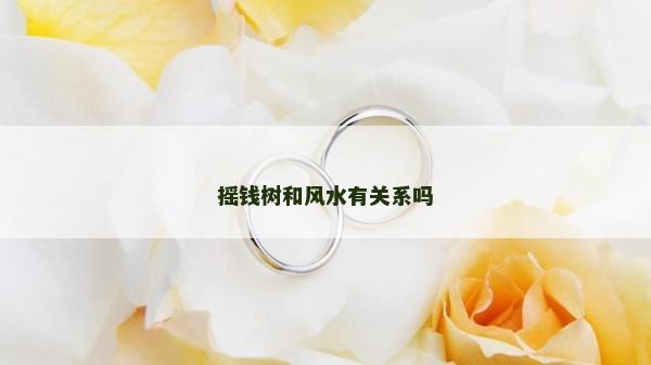 搖錢樹和風水有關系嗎
