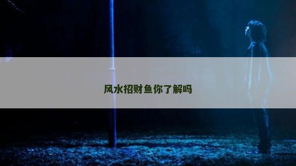 風水招財魚你了解嗎