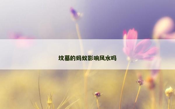 墳?zāi)沟奈浵佊绊戯L(fēng)水嗎