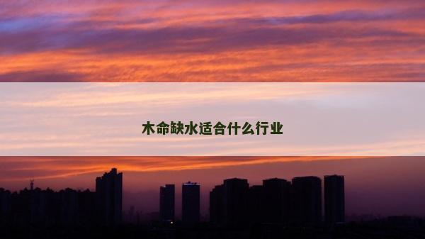 木命缺水適合什么行業