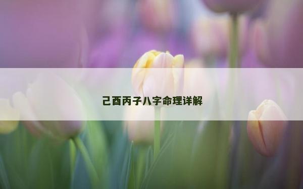 己酉丙子八字命理詳解