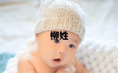 柳姓獨特優美的男孩名字