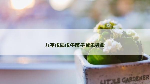 八字戊辰戊午庚子癸未男命