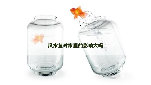 風水魚對家里的影響大嗎