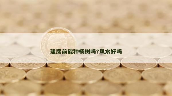 建房前能種楊樹嗎?風水好嗎