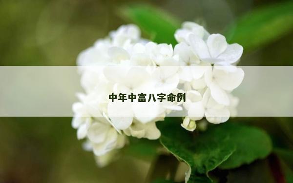 中年中富八字命例 中年中富八字命例