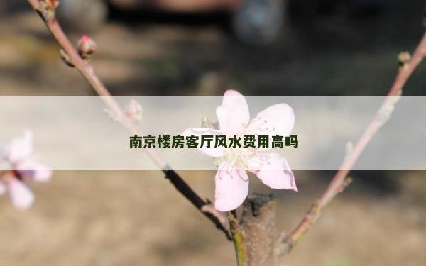 南京樓房客廳風水費用高嗎