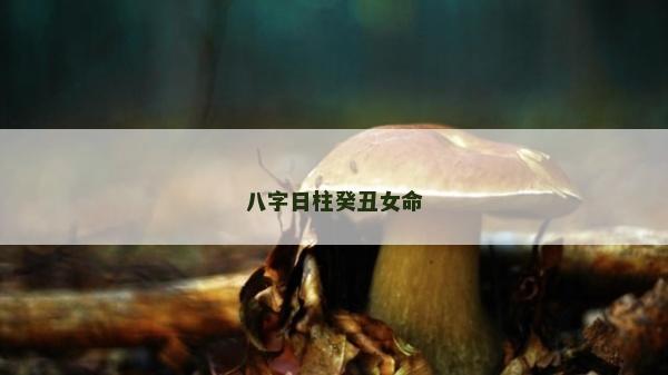 八字日柱癸丑女命