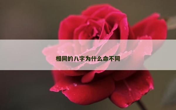 相同的八字為什么命不同 相同的八字為什么命不同