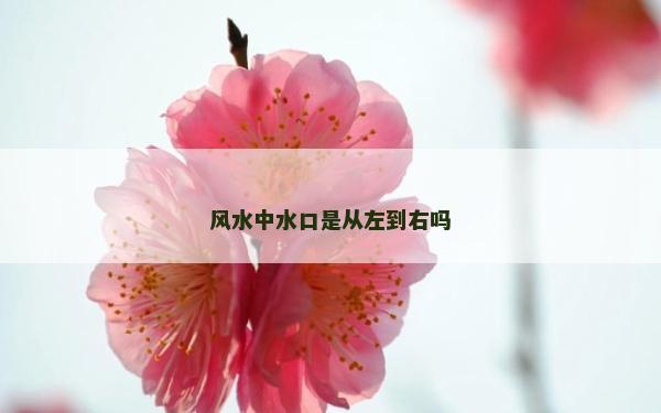 風水中水口是從左到右嗎