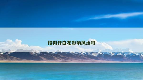 橙樹開白花影響風水嗎